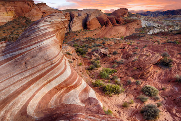 Fire wave in Nevada Amazing colors and shape of the Fire Wave rock in Valley of Fire State Park, Nevada, USA red rocks landscape stock pictures, royalty-free photos & images