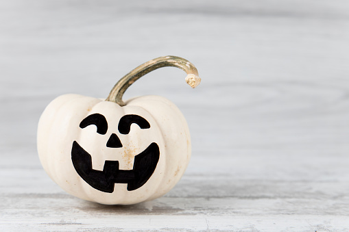 Pumpkin halloween characters in a row on white background