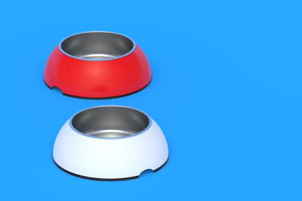 istock Empty bowls for food or water for dog, cat or other pets. Copy space. 3d render 1433306395