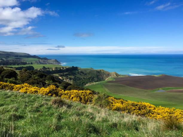 istock Canterbury coastal walks 1433306759