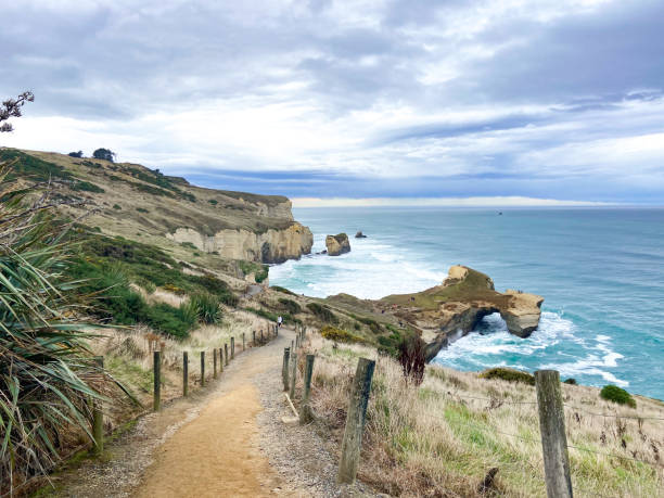 Tunnel Beach The walk down to Tunnel Beach, Dunedin, New Zealand dunedin new zealand stock pictures, royalty-free photos & images