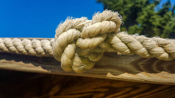 istock thick old rope with a knot 1433313670