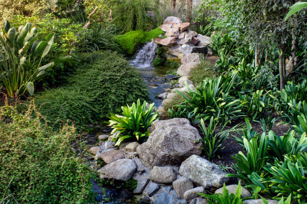 istock Stream with clear water flowing among lush tropical vegetation 1433313770