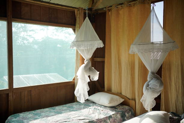 istock Room with mosquito nets in a tropical location 1433316484