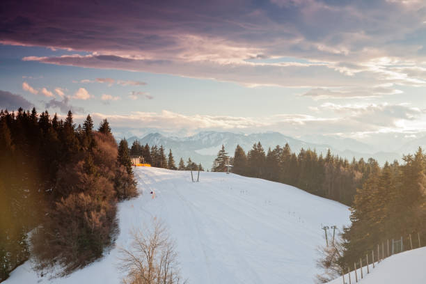 vista dall'alto di pfänder bregenz, alpi, austria - bregenz bodensee overhead cable car austria foto e immagini stock