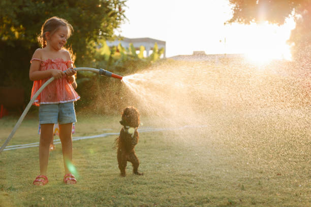istock Splashing in the yard 1433321121