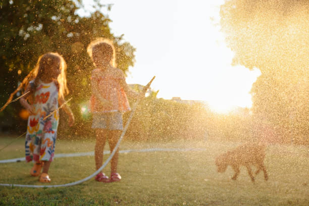 istock Splashing in the yard 1433322290