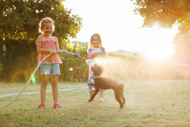 istock Splashing in the yard 1433322350