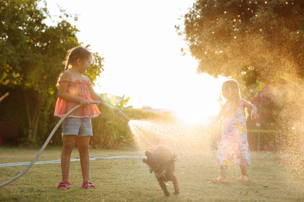 istock Splashing in the yard 1433322489