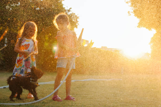 istock Splashing in the yard 1433322566