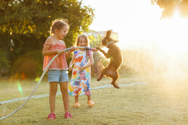 istock Splashing in the yard 1433322619