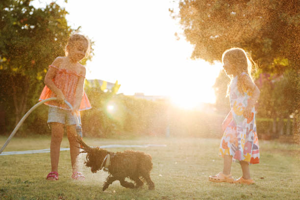 istock Splashing in the yard 1433322685