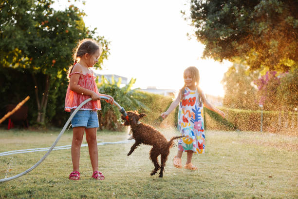 istock Splashing in the yard 1433322935