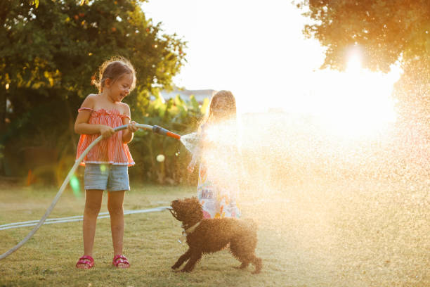 istock Splashing in the yard 1433323070