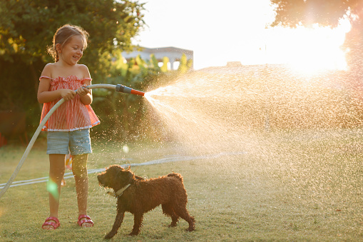 Happy little girl having fun to play with the splashing water.  Cute little girls having fun outside. Photo of a happy children spending summer day in their yard with their dog, splashing around.