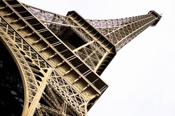 istock Low angle of the Eiffel tower isolated on a white background. 1433323248