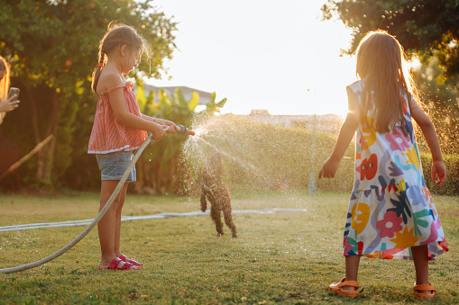 Happy little girls having fun to play with the splashing water.  Cute little girls having fun outside. Photo of a happy children spending summer day in their yard with their dog, splashing around.