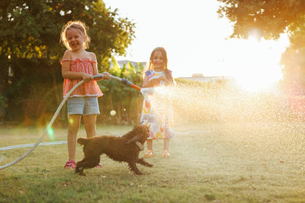 Splashing in the yard