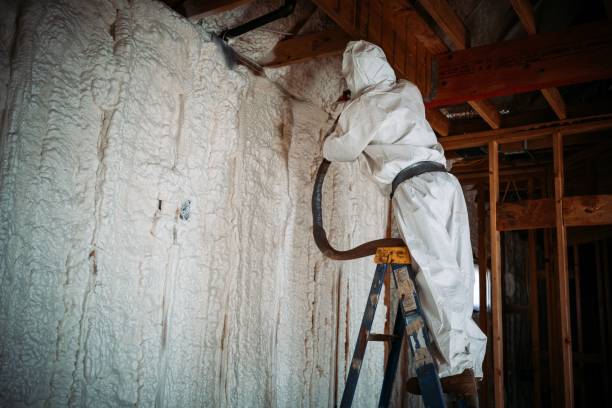 istock Worker doing spray foam insulation on the walls 1433324175