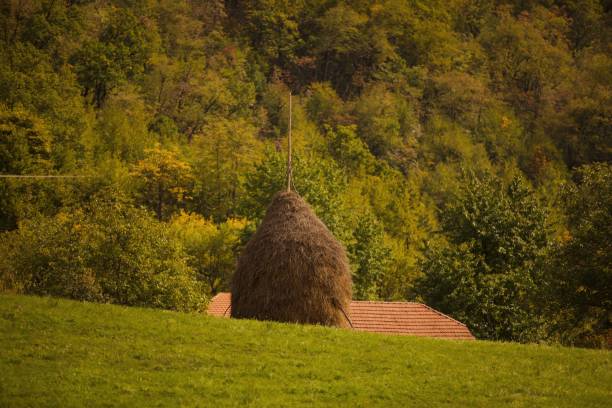 Autumn color landscapes in  Transilvania, Romania