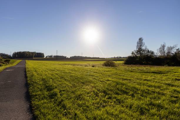 istock Sun shining over the green field. 1433326105