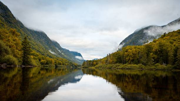 istock Lake surrounded by dense green mountain forests partially in fog 1433326953