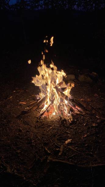 istock Vertical shot of a campfire at night 1433328222