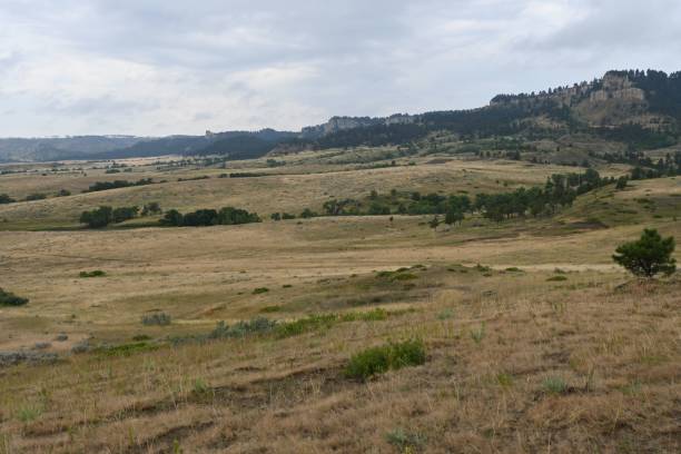 istock Vast green and brown fields in Montana under blue cloudy sky 1433329075