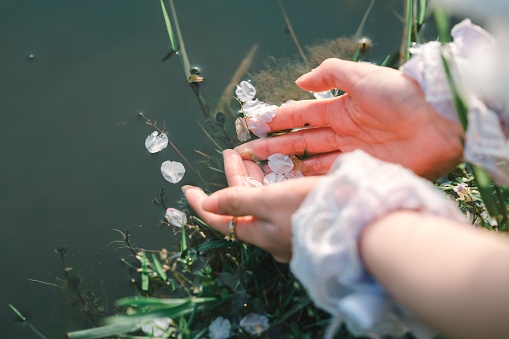 A close-up shot of hands throwing flower petals in a pond