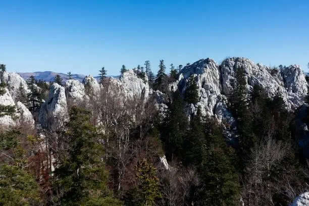 Photo of Landscape view with Tulove Grede towering, white cliffs, deciduous trees around, blue sky background