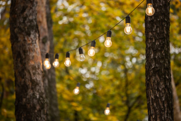 istock Autumn landscape in the park 1433330589