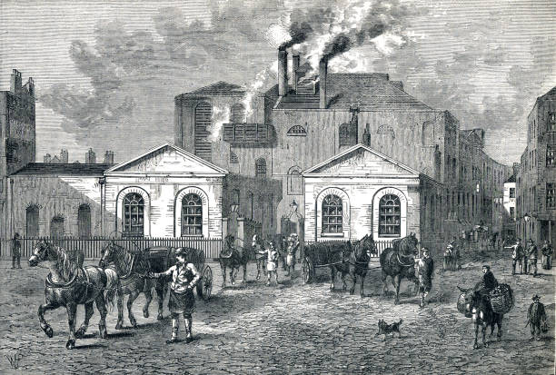 Meux Brewer 19th century London The Horse Shoe Brewery stood at the corner of Great Russell Street and Tottenham Court Road.  In 1810 the brewery, Meux and Company, had a fermentation tank installed, this huge vat held the equivalent of over 3,500 barrels of brown porter ale, a beer not unlike stout. 19th century stock illustrations