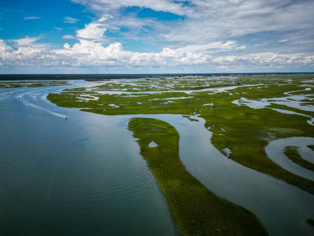 istock Aerial view of a marshland under a blue cloudy sky 1433333624