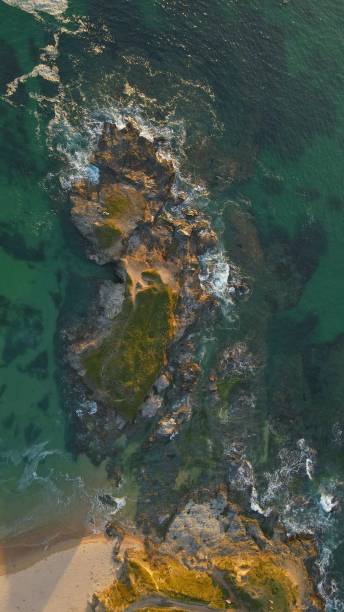 istock Top view of strong waves on a rocky coast 1433334031
