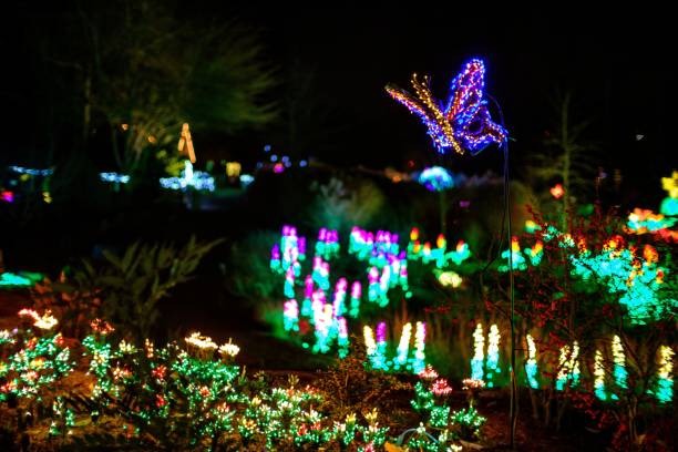 istock Colorful light decoration in the park during nighttime 1433334188