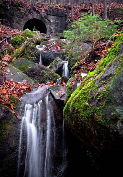 A vertical shot of a beautiful waterfall flowing in the forest