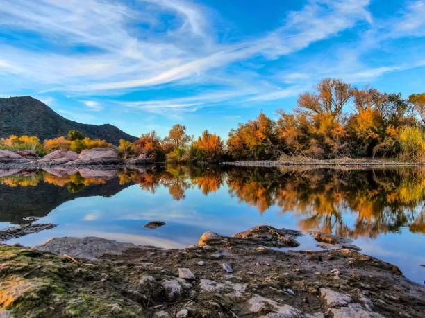 Autumn Reflections, In The Desert Autumn, might not arrive until December along the Lower Salt River outside of Phoenix, but when it does, it’s spectacular. chandler arizona stock pictures, royalty-free photos & images