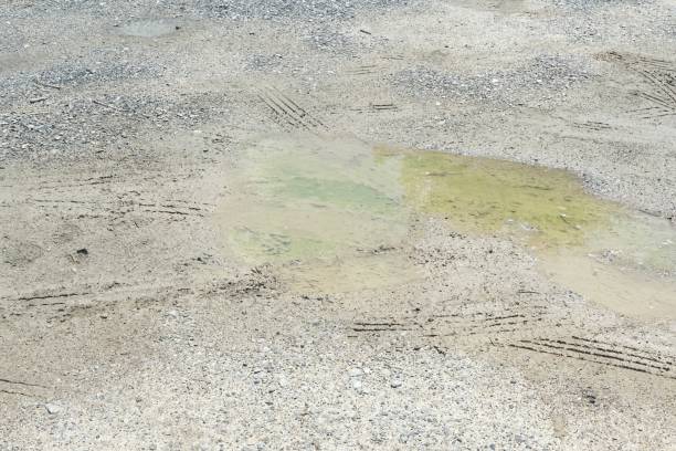 istock wheel track on the ground 1433335619