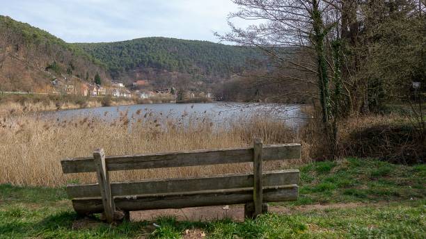 istock Old wooden bench facing wheat bushes and a lake with leafless trees on the side 1433337992