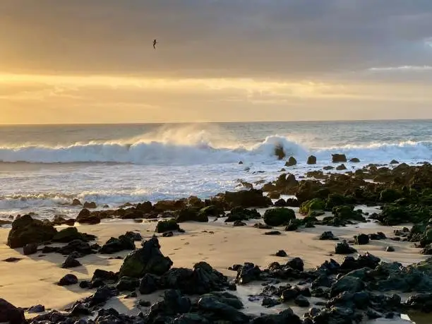 Photo of Beautiful view of foamy sea waves crashing at the coast surrounded by black rock formations