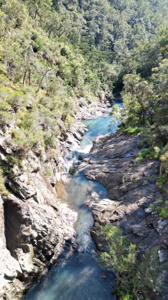 istock Vertical shot of a river 1433339918
