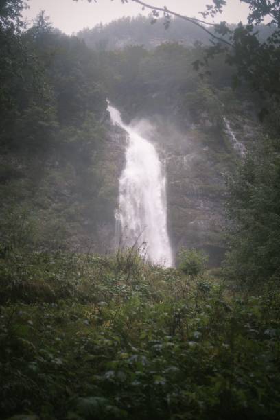 istock Misty view of a waterfall flowing between green trees and plants, vertical shot 1433340154