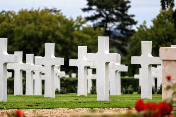 istock White crosses marking the graves surrounded by trees in a graveyard 1433341939
