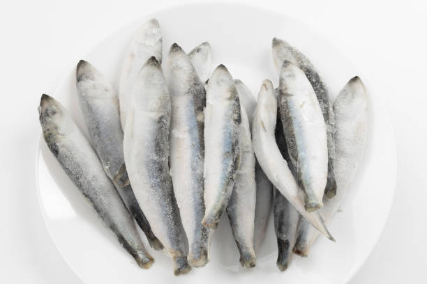 istock Frozen sprat on a white plate, sea herring fish. 1433342231