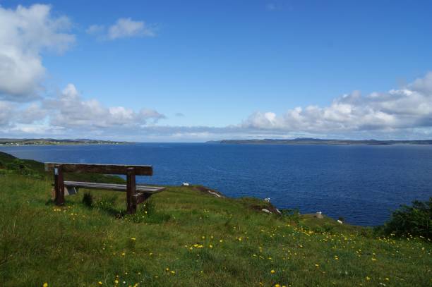 istock Empty wooden bench on green grass overlooking the sea 1433342266