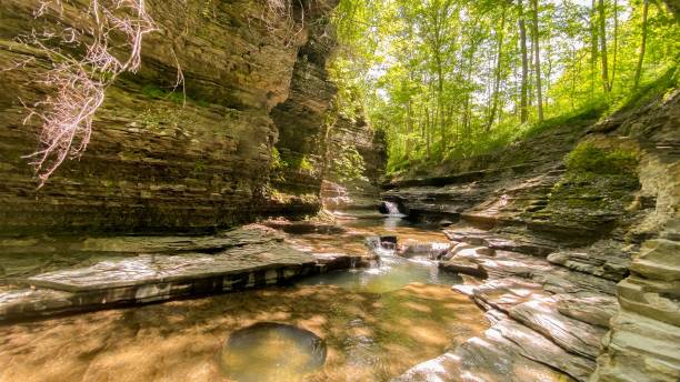 istock River flowing through a rocks landscape in forests 1433342555