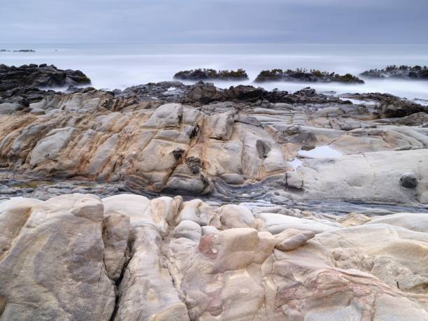 istock Tafoni and Cavernous rock formations beside a seascape captured in Bean Hollow beach 1433342992