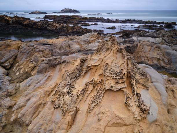 The Tafoni and Cavernous rock formations beside a seascape captured in Bean Hollow beach