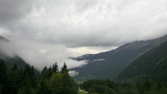 A scenic view of the dense green mountain forest under an overcast sky in South Tyrol, Italy