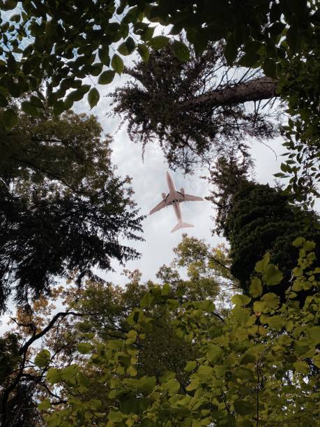 istock Low angle vertical shot of an airplane in air captured through trees 1433343147